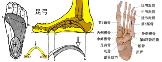 圖片關(guān)鍵詞