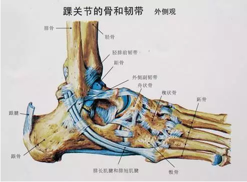 圖片關(guān)鍵詞